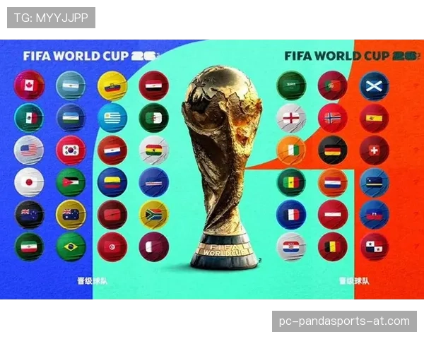 2026世界杯48支球队分12个小组赛制怎么规定