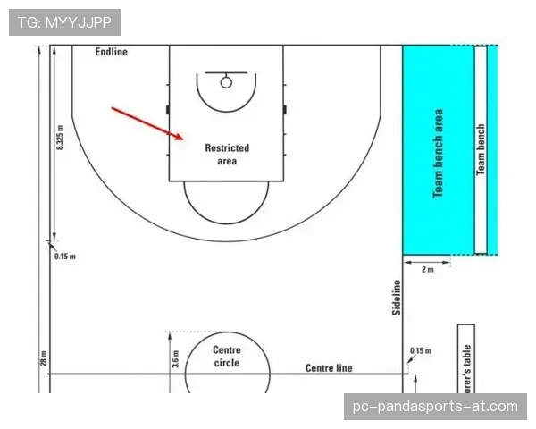罚球规则NBA与FIBA核心区别详解 罚球规则NBA与FIBA核心区别详解